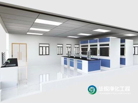 湖北實(shí)驗(yàn)室凈化設(shè)計(jì)的主要目標(biāo)有哪些具體實(shí)現(xiàn)方式？