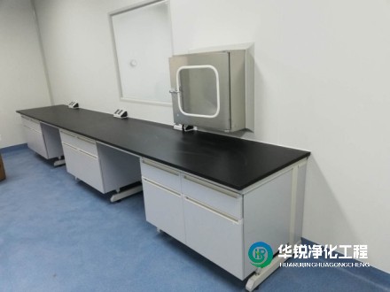 湖北GMP實驗室微生物檢測要求