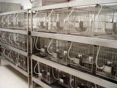 福建動物實驗室建設核心