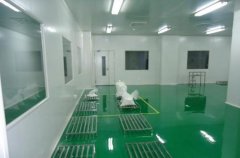 黑龍江制藥企業(yè)GMP潔凈室溫濕度控制設(shè)計(jì)
