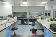 四川如何在檢驗科實驗室正確管理生物安全？